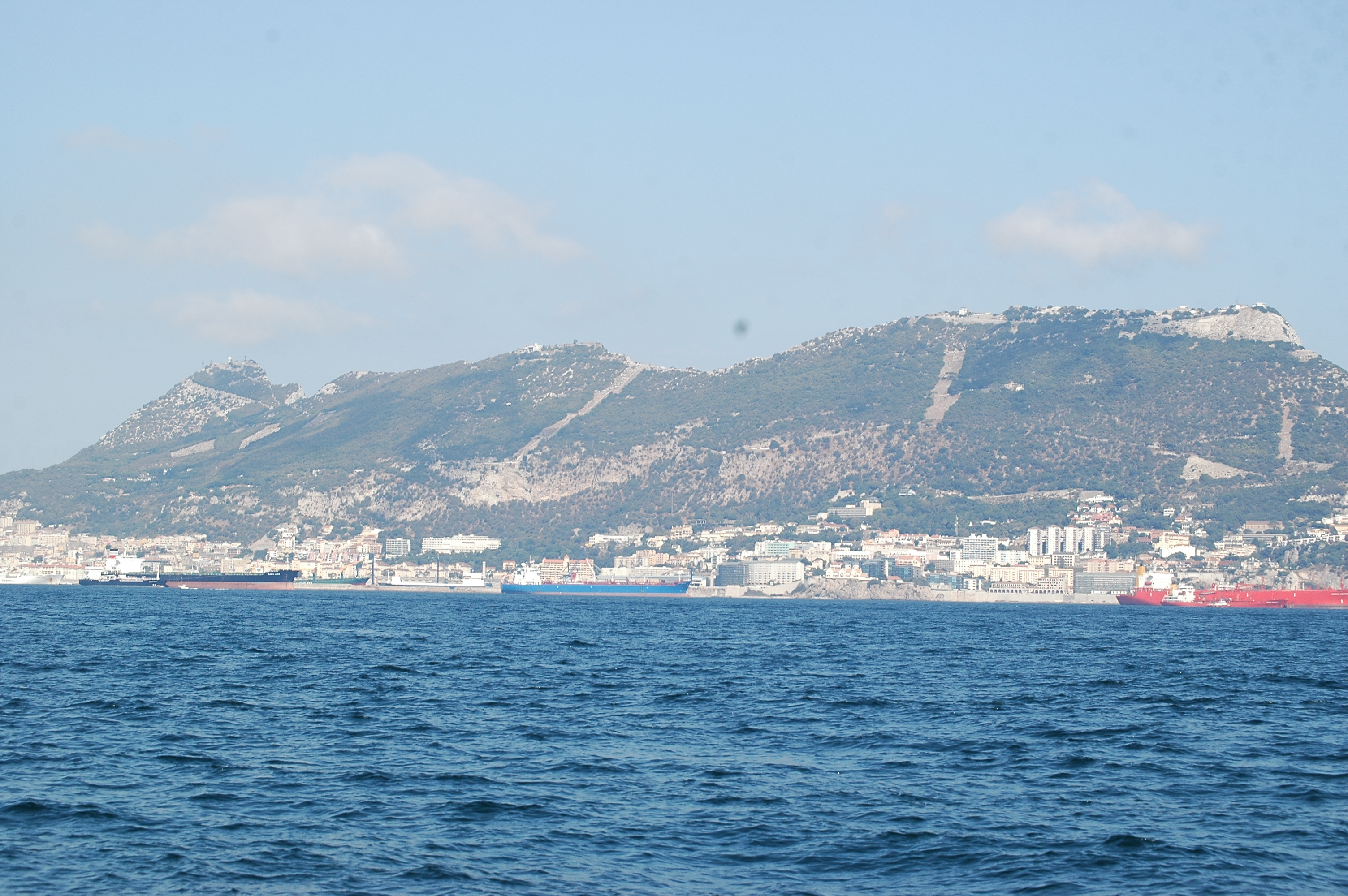 photos/wildlife/Mammal_Species/Dolphins/dsc_0884.jpg