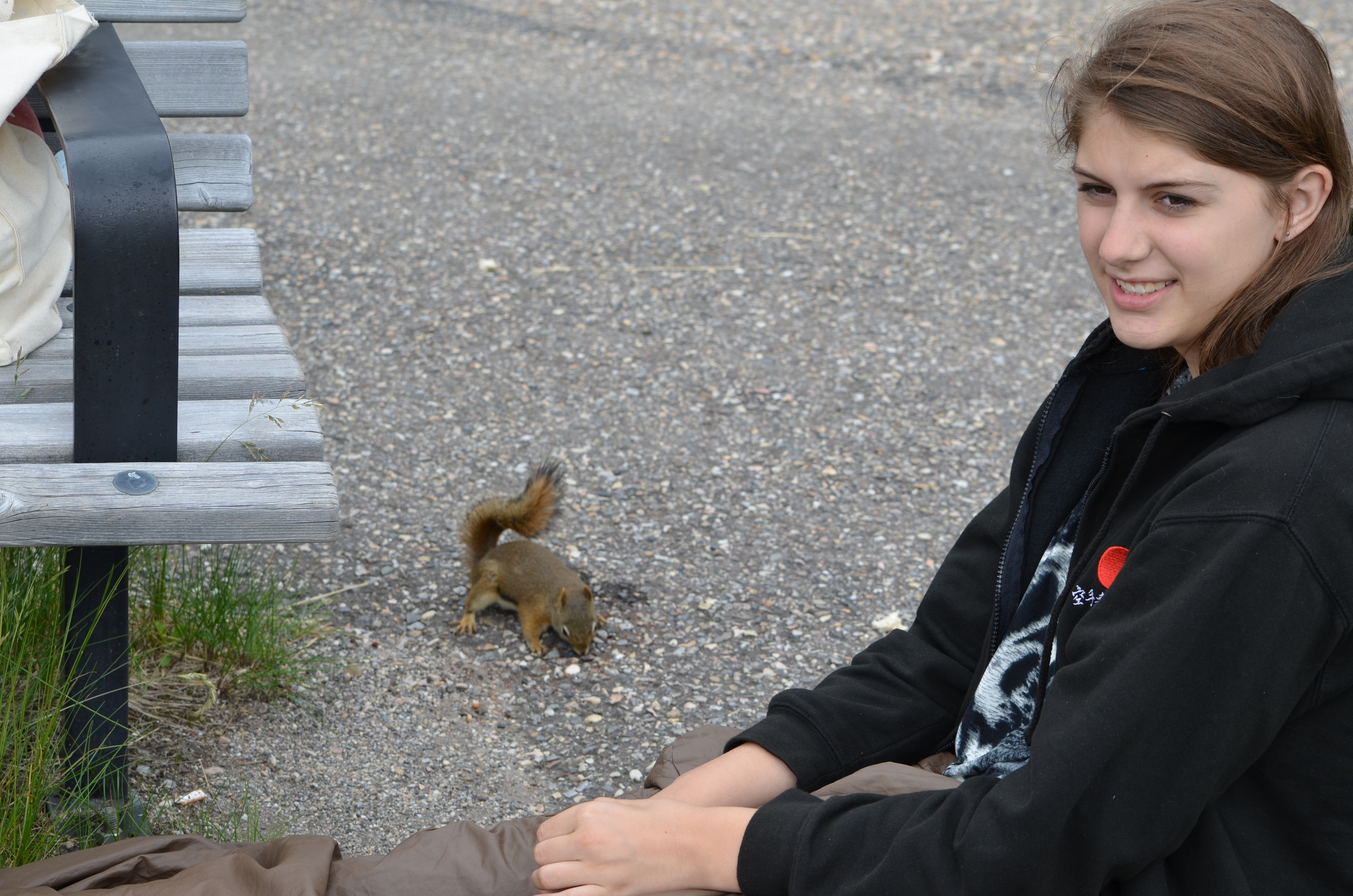 photos/wildlife/Mammal_Species/Grey_Squirrel/DSC_0652.JPG