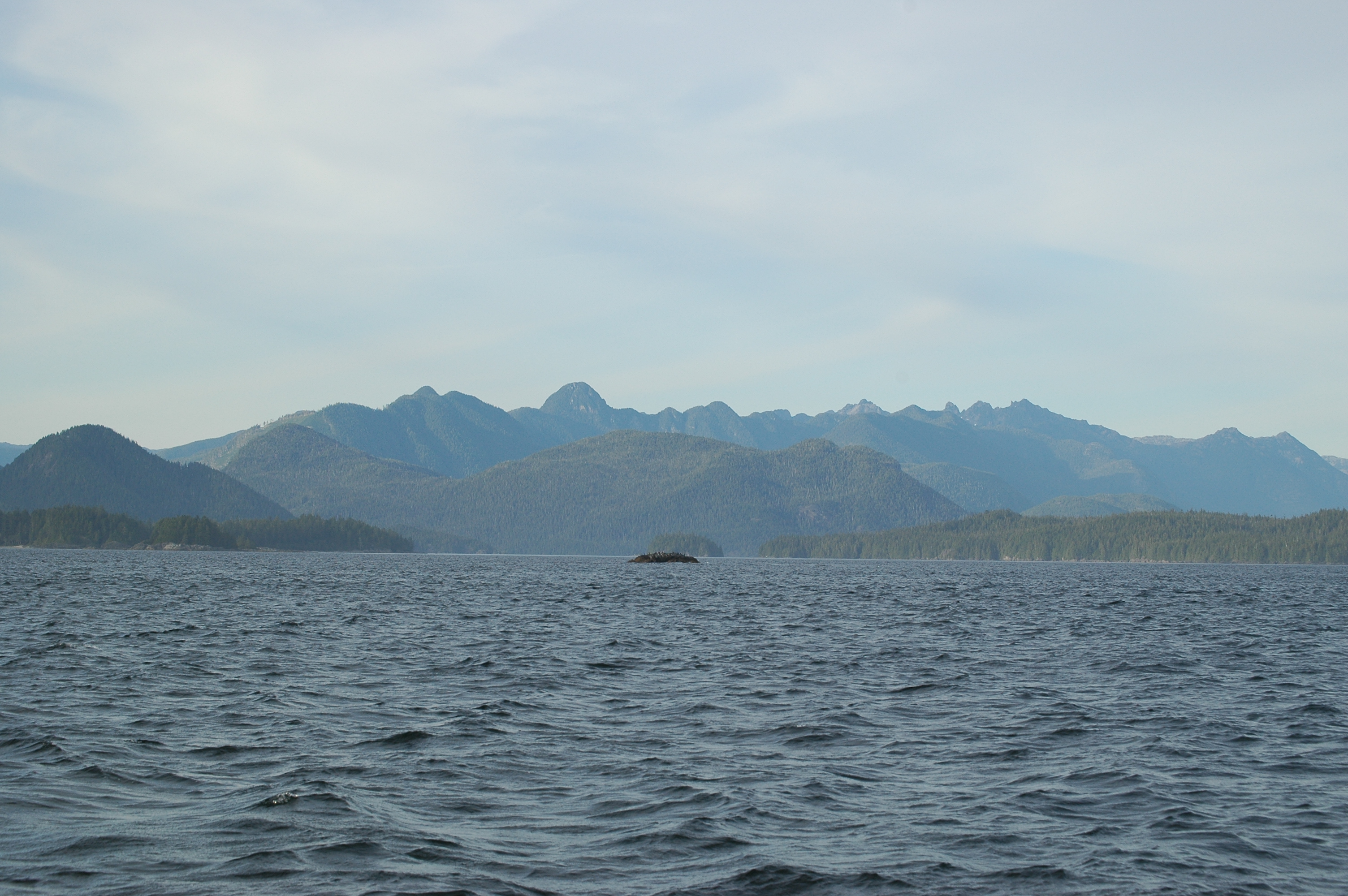 photos/wildlife/Mammal_Species/Grey_Whale/20070920-Canada-23.jpg
